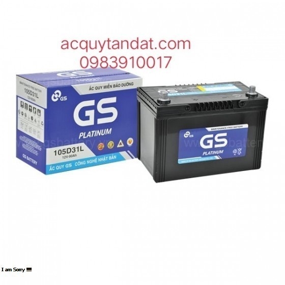 ẮC QUY GS MF 105D31L (12V-90AH)