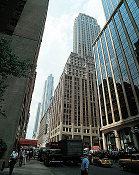 soi cau 336