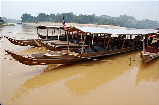 soi cau scv