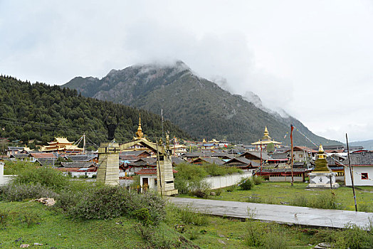 cau bach kim
