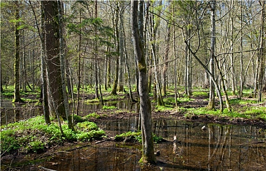 du doan dau duoi mb