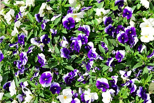 xổ số miền nam thứ 2 tuần rồi