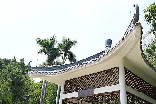 soi cau rong bach kim 2nhay